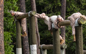 Fox Company Confidence Course