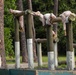 Fox Company Confidence Course