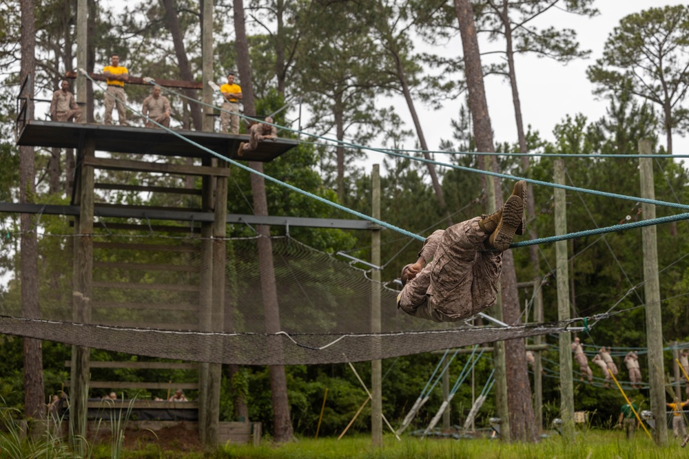 Fox Company Confidence Course