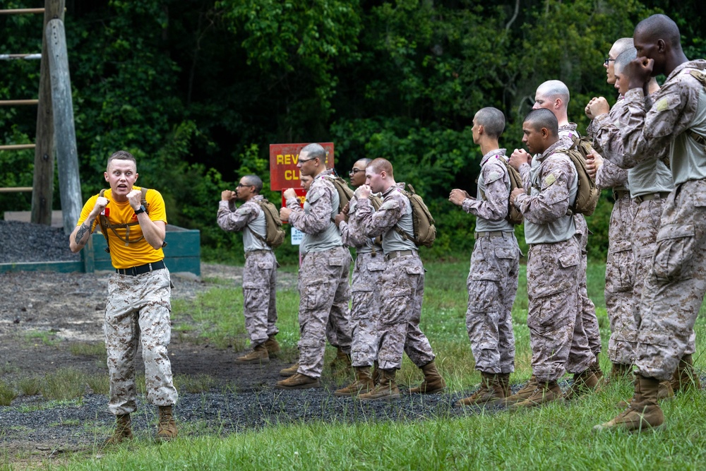 Fox Company Confidence Course