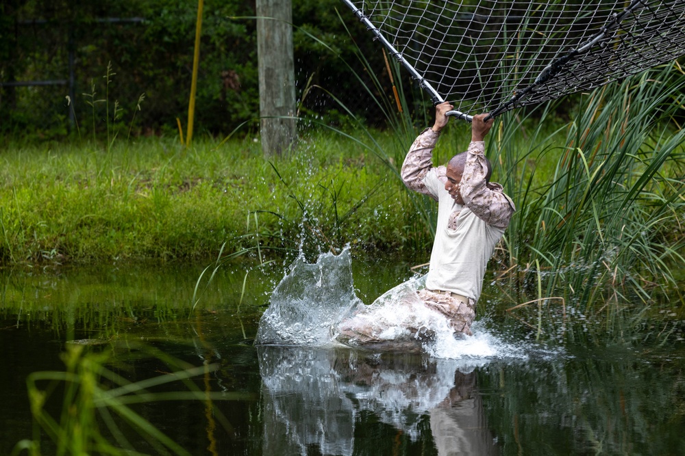 Fox Company Confidence Course