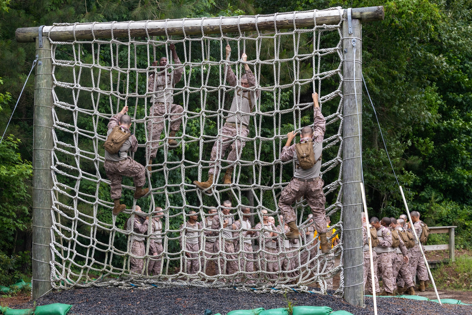 DVIDS - Images - Fox Company Confidence Course [Image 7 of 8]