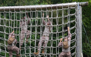 Fox Company Confidence Course
