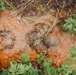Sniper Course Ghillie Wash