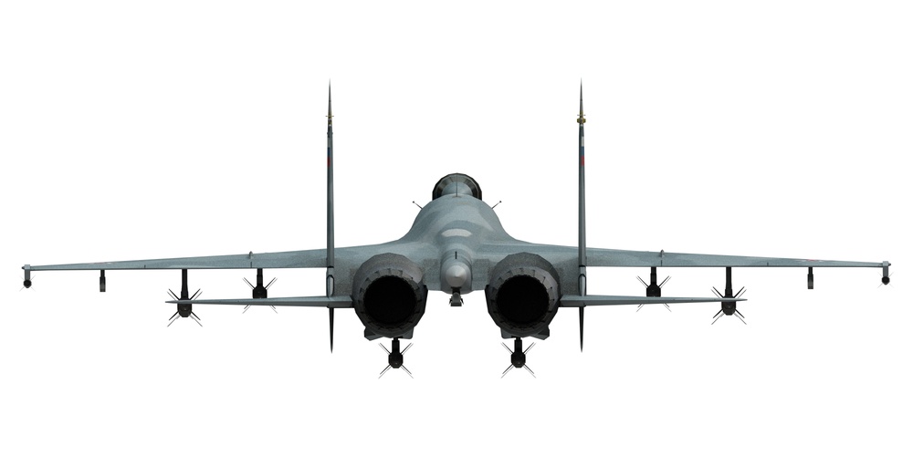 Su-33 Back