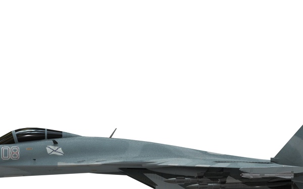 Su-33 Left