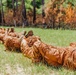 Sniper Course Ghillie Suit