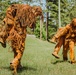 Sniper Course Ghillie Suit