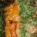 Sniper Course Ghillie Wash