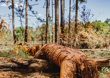 Sniper Course Ghillie Wash