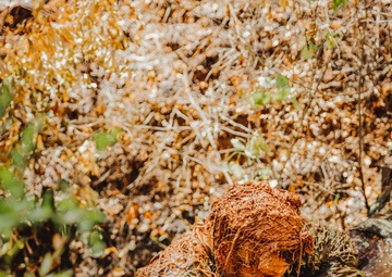 Sniper Course Ghillie Wash