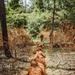 Sniper Course Ghillie Wash