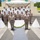2025 Governor's Memorial Day Ceremony 2025 Governor's Memorial Day Ceremony