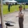 2025 Governor's Memorial Day Ceremony 2025 Governor's Memorial Day Ceremony