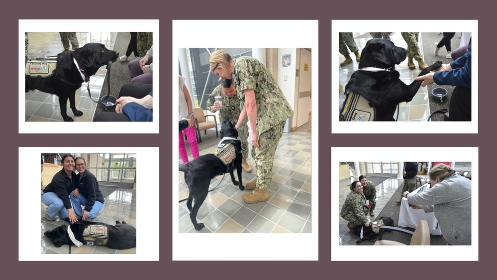 Wags for Wellness at Naval Hospital Bremerton