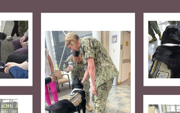Wags for Wellness at Naval Hospital Bremerton