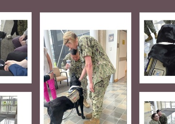 Wags for Wellness at Naval Hospital Bremerton