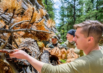 Wyoming Cowboy Aviation Task Force conduct SERE training