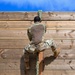 2025 Advanced Combat Skills Assessment: Combat Agility Assessment