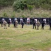 U.S., ROK special operations personnel enhance counter gray zone burden sharing through routine training