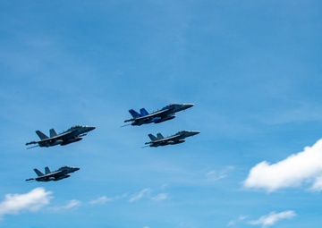 VAQ 139 Aerial Change of Command