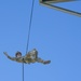 Air Assault School at MKAB