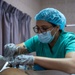 Respiratory technician takes care of patients in the ICU during African Lion 2025