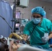 Respiratory technician takes care of patients in the ICU during African Lion 2025