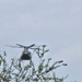 CH-47 Chinook crew helps Army Reserve competitors for Best Squad competition at Fort McCoy