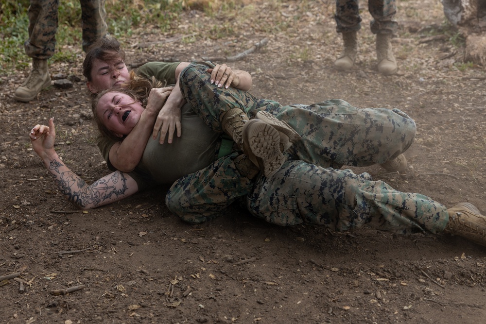 Reckless Rodeo: Combat Logistics Regiment 1, 1st Marine Logistics Group compete and build camaraderie
