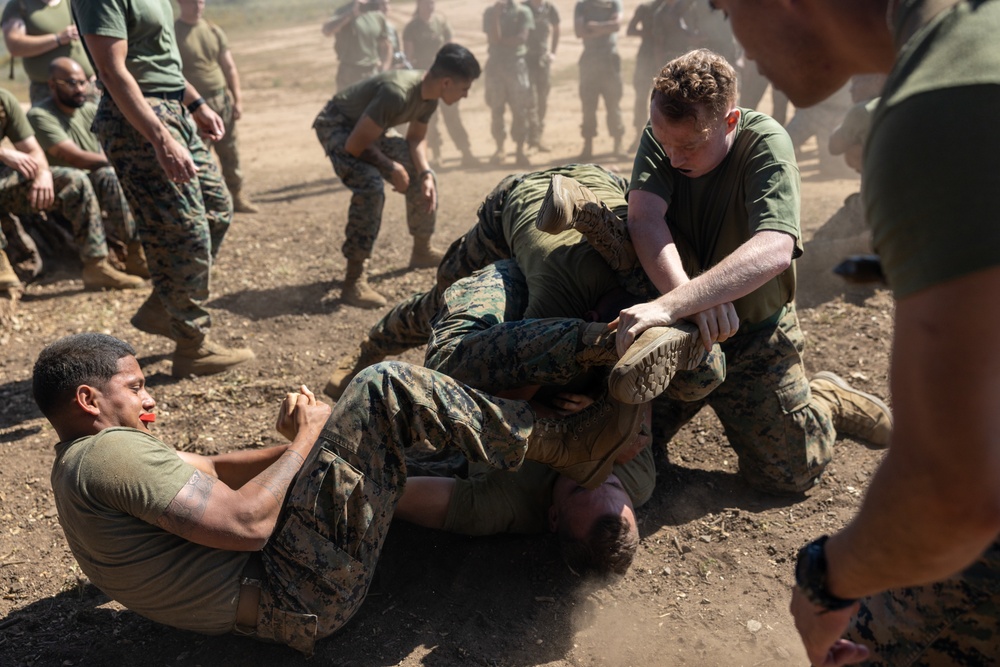 Reckless Rodeo: Combat Logistics Regiment 1, 1st Marine Logistics Group compete and build camaraderie