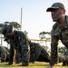 Bridging Branches: Airman trains for joint mission success