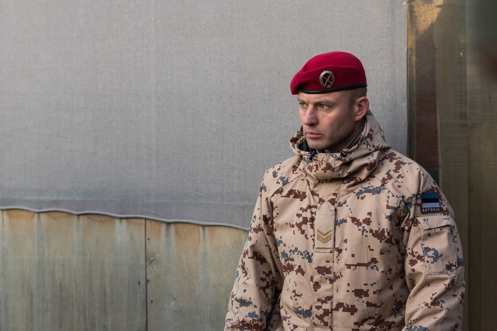 Coalition Members Celebrate Estonia’s Independence Day