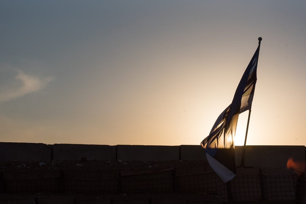Coalition Members Celebrate Estonia’s Independence Day