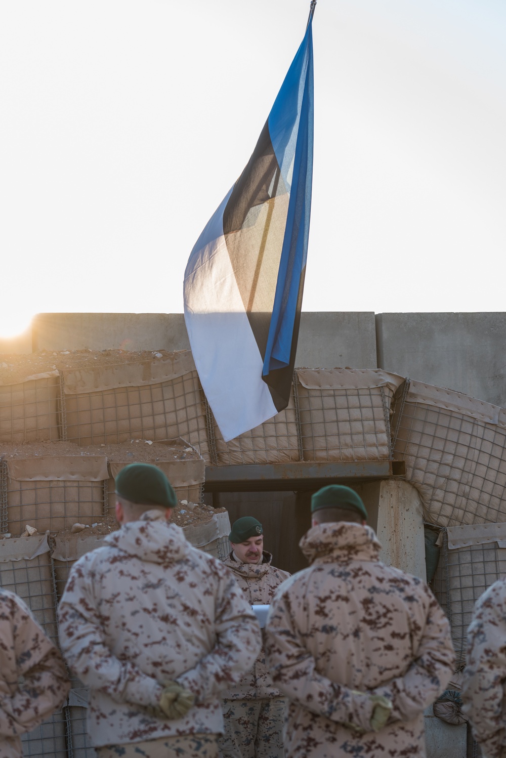Coalition Members Celebrate Estonia’s Independence Day