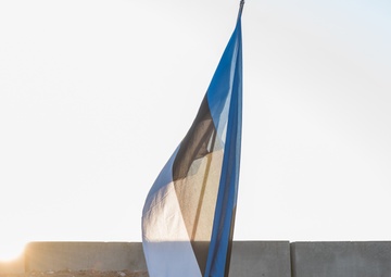 Coalition Members Celebrate Estonia’s Independence Day