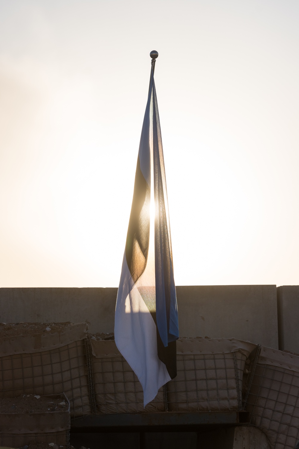 Coalition Members Celebrate Estonia’s Independence Day