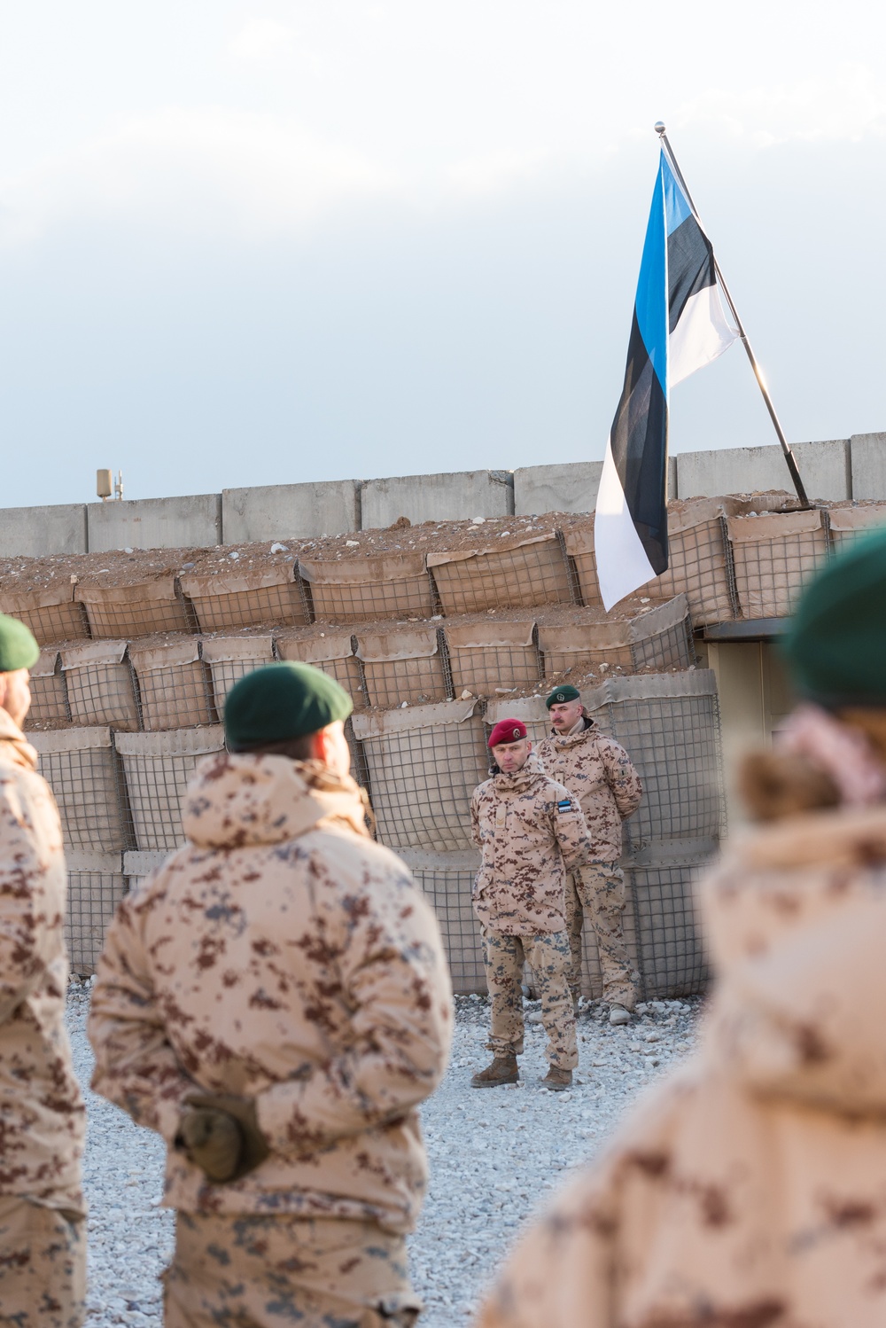 Coalition Members Celebrate Estonia’s Independence Day