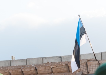 Coalition Members Celebrate Estonia’s Independence Day