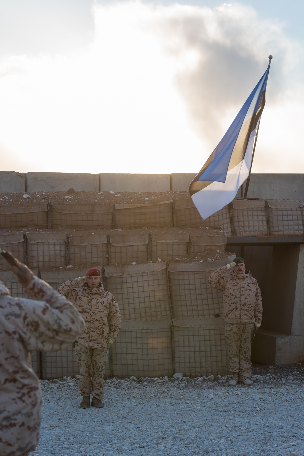 Coalition Members Celebrate Estonia’s Independence Day