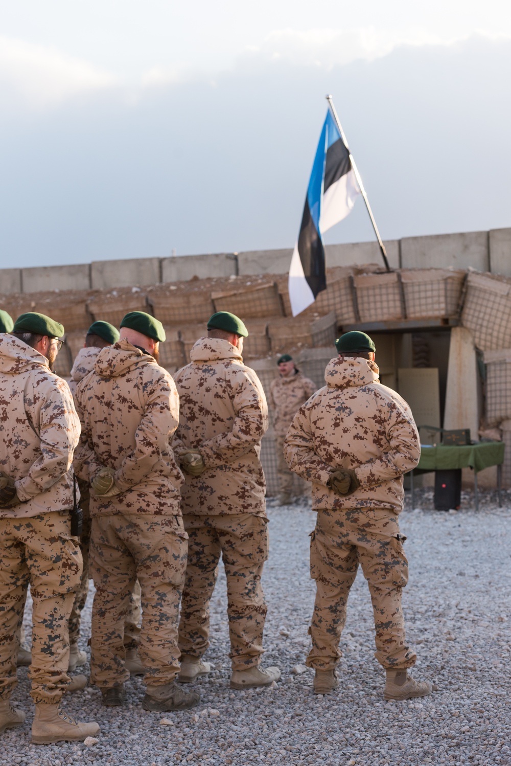 Coalition Members Celebrate Estonia’s Independence Day