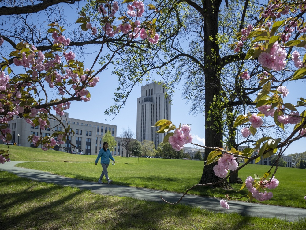 Walter Reed again earns “A&quot; grade from Leapfrog Group