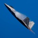 F-22 Raptor Demonstration Practice