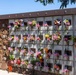 Kaua`i Veteran's Council Honors America's Fallen Service Members