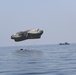 Army paratroopers conduct water jump into Lake Okeechobee