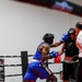The Marine Corps Boxing Team Participates in Rising Star Amateur Boxing Event
