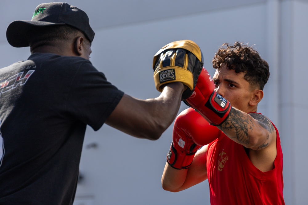 The Marine Corps Boxing Team Participates in Rising Star Amateur Boxing Event