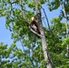 Crews support the Personal Property Debris Removal (PPDR) mission after Hurricane Helene
