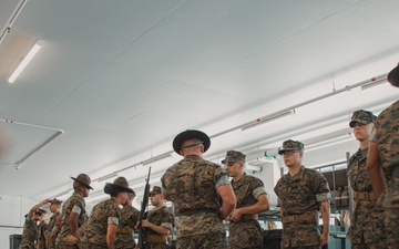 India Co. SDI Inspection