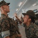 India Co. SDI Inspection